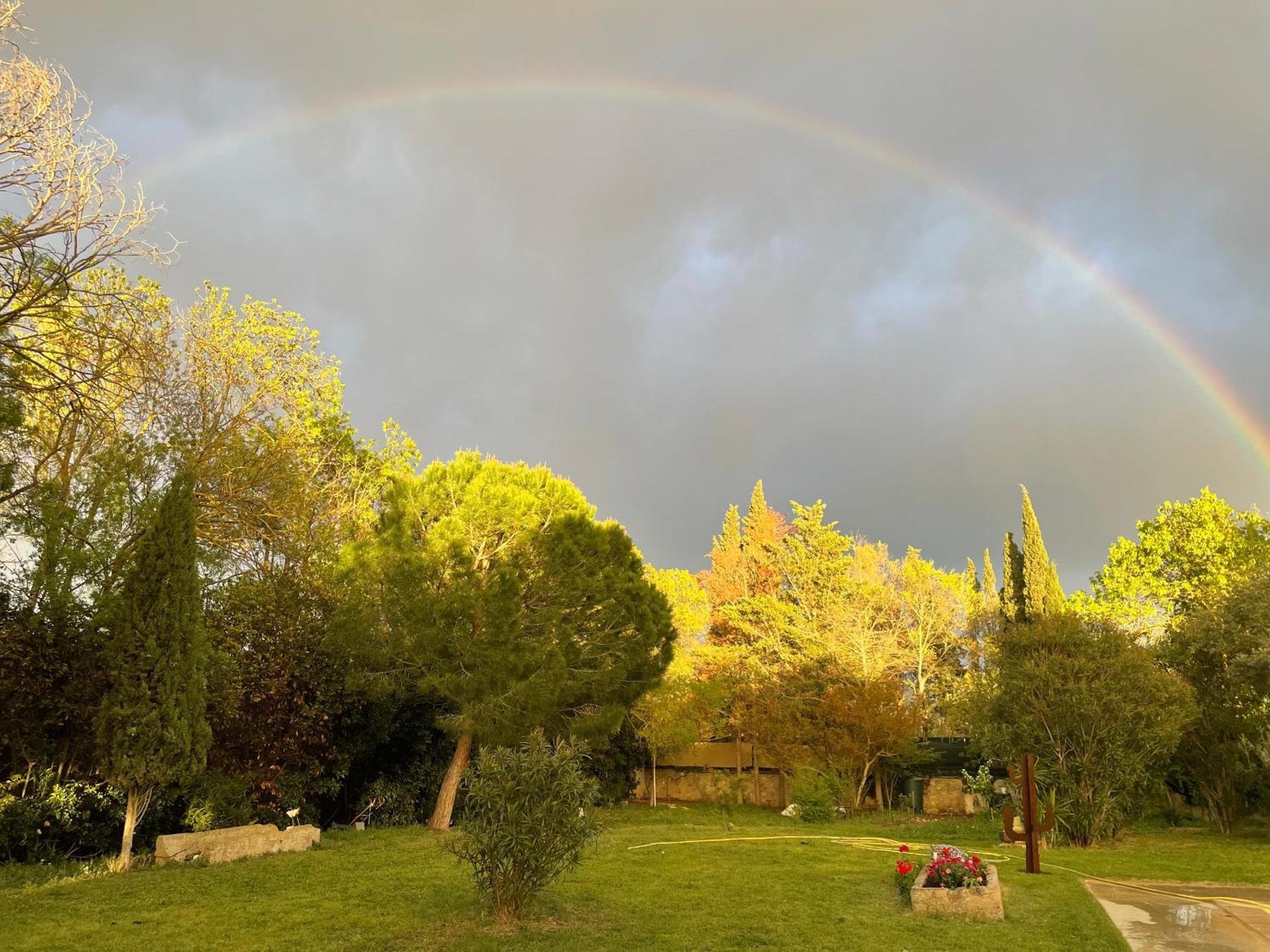 Le Jardin De Lacoste Narbonne Dış mekan fotoğraf