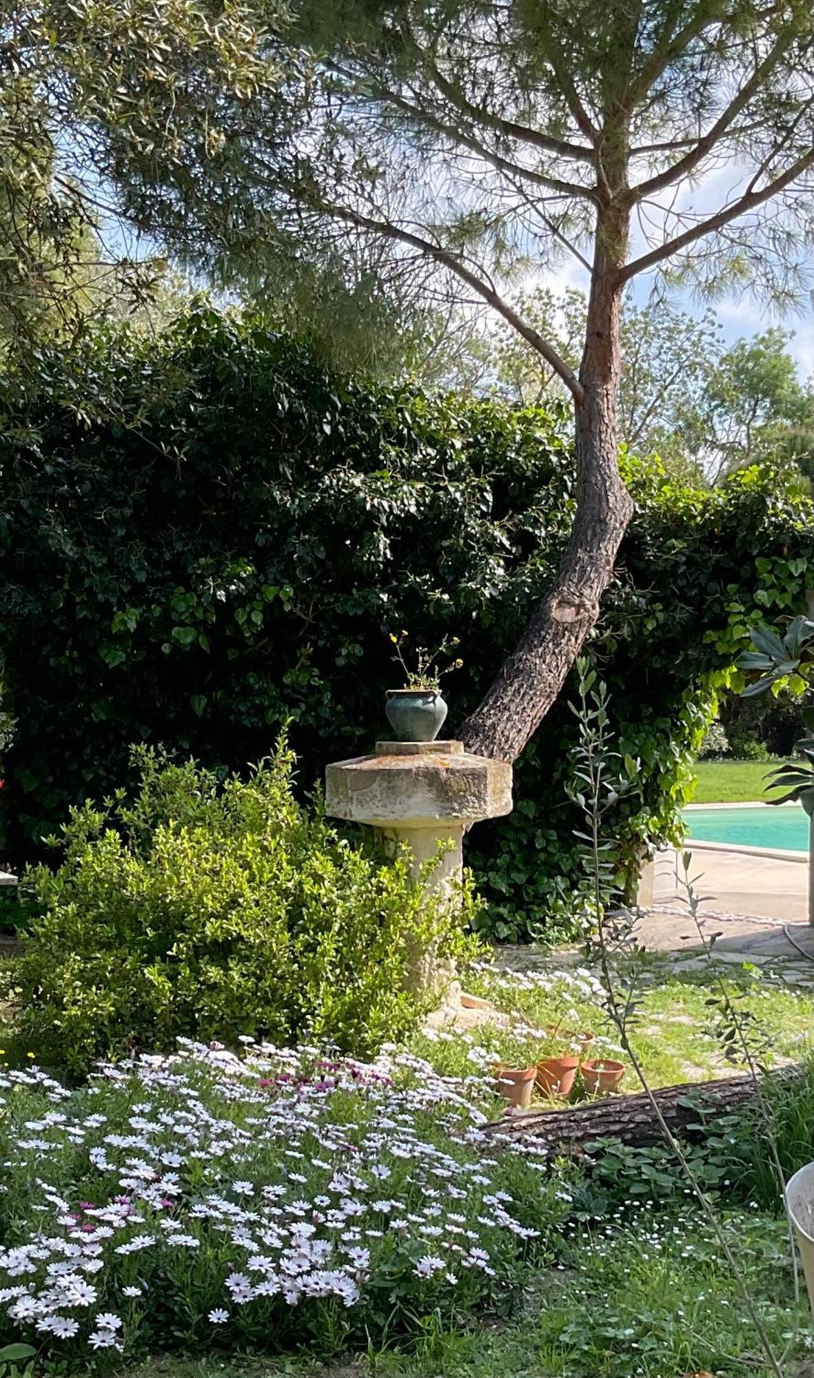 Le Jardin De Lacoste Narbonne Dış mekan fotoğraf